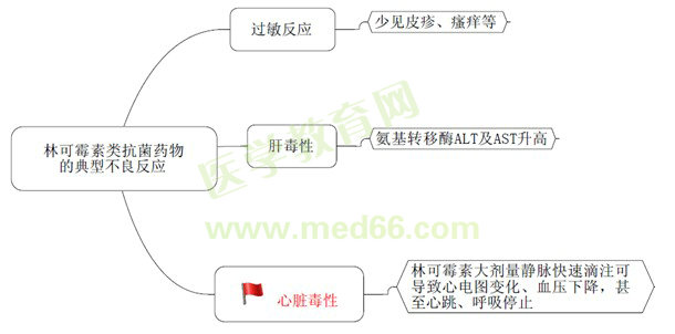 《藥學(xué)專業(yè)知識(shí)（二）》“那點(diǎn)小事兒”