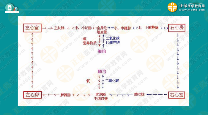 醫(yī)療衛(wèi)生考試筆試備考指導(dǎo)來了，共計2863頁書！怎么學(xué)？