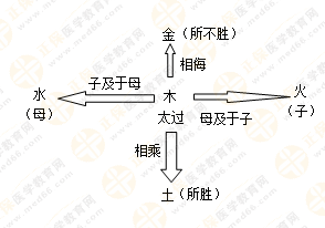 專業(yè)師資帶你學(xué)（五）：執(zhí)業(yè)藥師《中藥綜》五行學(xué)說！學(xué)習(xí)要有方法！