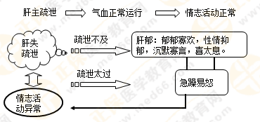 《中藥學(xué)綜合知識(shí)與技能》的藏象