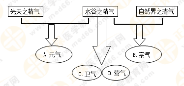 專業(yè)師資帶你學(xué)（八）：執(zhí)業(yè)藥師《中藥綜》生命活動的基本物質(zhì)！善用圖解！