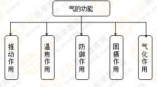 專業(yè)師資帶你學(xué)（八）：執(zhí)業(yè)藥師《中藥綜》生命活動的基本物質(zhì)！善用圖解！