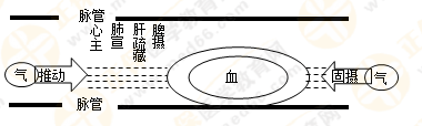 專業(yè)師資帶你學(xué)（八）：執(zhí)業(yè)藥師《中藥綜》生命活動的基本物質(zhì)！善用圖解！