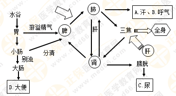 專業(yè)師資帶你學(xué)（八）：執(zhí)業(yè)藥師《中藥綜》生命活動的基本物質(zhì)！善用圖解！