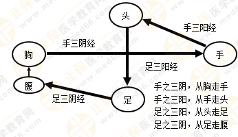 專業(yè)師資帶你學(xué)（九）：執(zhí)業(yè)藥師《中藥綜》經(jīng)絡(luò)與經(jīng)絡(luò)系統(tǒng)！5圖2表！