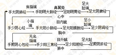 專業(yè)師資帶你學(xué)（九）：執(zhí)業(yè)藥師《中藥綜》經(jīng)絡(luò)與經(jīng)絡(luò)系統(tǒng)！5圖2表！