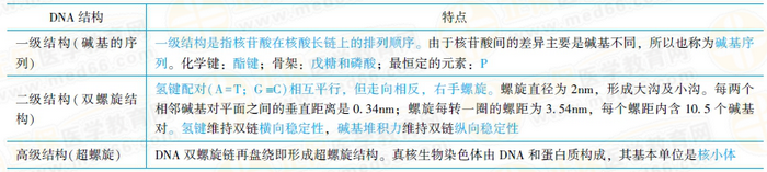 DNA各級結(jié)構(gòu)的特點