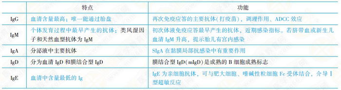 免疫球蛋白的結(jié)構(gòu)和功能