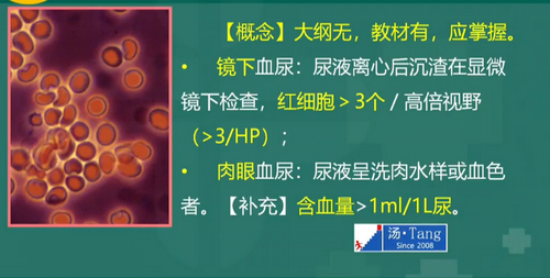 湯以恒2019臨床執(zhí)業(yè)醫(yī)師泌尿系統(tǒng)科目免費(fèi)視頻課更新！