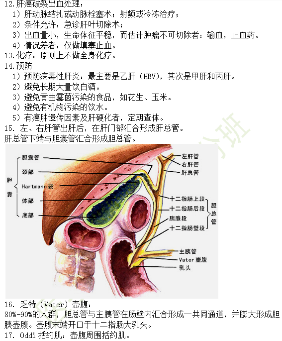 30個有關(guān)肝炎、膽囊炎相關(guān)考點(diǎn)匯總-臨床執(zhí)業(yè)醫(yī)師消化系統(tǒng)第九期！