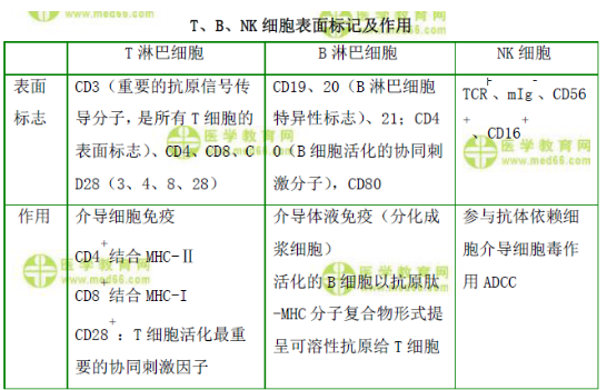 T、B、NK細(xì)胞表面標(biāo)記及作用