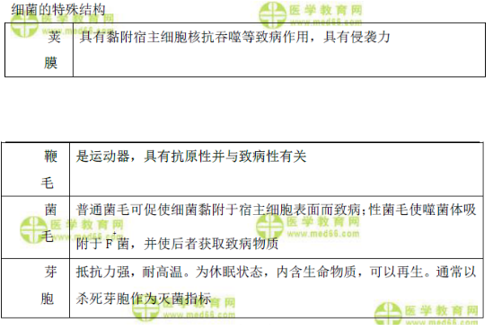 細菌的形態(tài)與結(jié)構(gòu)