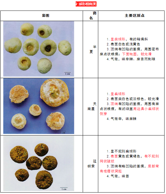 每日沖刺計(jì)劃！2019執(zhí)業(yè)藥師《中藥學(xué)專業(yè)知識(shí)二》第一篇！