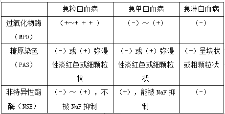 細胞化學(xué)染色主要從細胞形態(tài)來鑒別各類白血病 