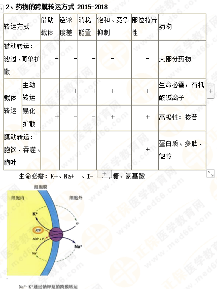 2019年執(zhí)業(yè)藥師《藥一》的藥劑學，15分鐘經(jīng)典回顧！