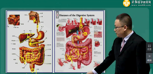【視頻】2019年臨床執(zhí)業(yè)醫(yī)師消化系統(tǒng)科目特點及復(fù)習(xí)建議