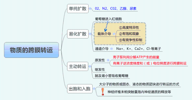 物質的跨膜運轉