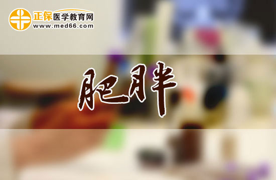 肥胖會引發(fā)哪些疾?。? width=