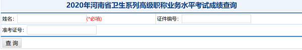 2020年河南省衛(wèi)生系列高級(jí)職稱業(yè)務(wù)水平考試成績(jī)查詢