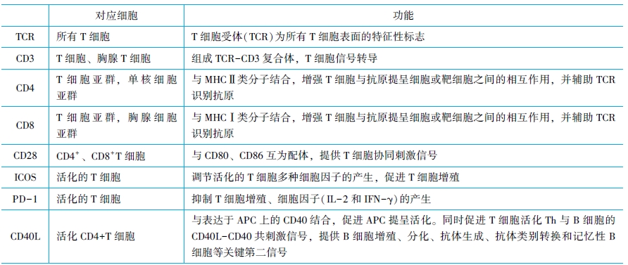 免疫細(xì)胞