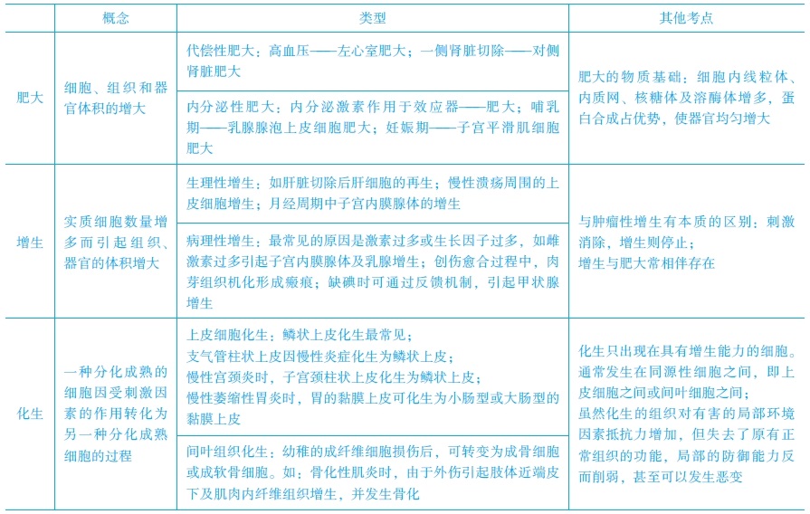 增生、化生和肥大的常見考點　