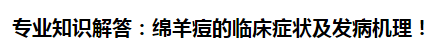 專業(yè)知識(shí)解答：綿羊痘的臨床癥狀及發(fā)病機(jī)理！