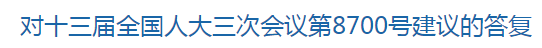 對十三屆全國人大三次會議第8700號建議的答復(fù)