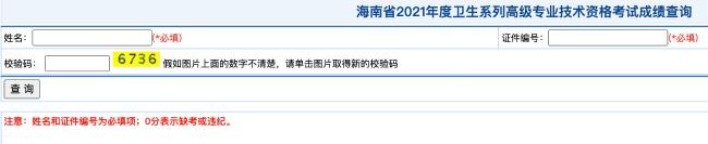 海南省2021年度衛(wèi)生系列高級(jí)專業(yè)技術(shù)資格考試成績(jī)查詢