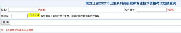 黑龍江衛(wèi)生高級職稱考試成績查詢入口