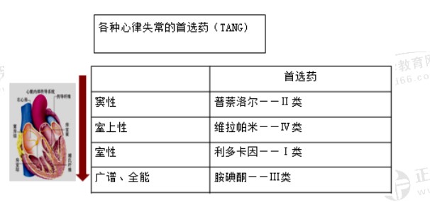 心律失常