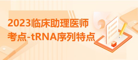 2023臨床助理醫(yī)師考點-tRNA序列特點