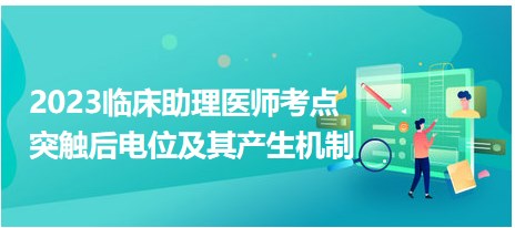 2023臨床助理醫(yī)師考點-突觸后電位