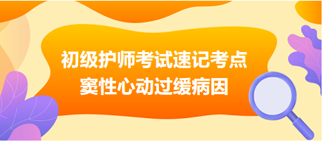 2024初級護師考試速記考點：竇性心動過緩病因