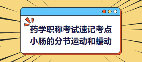 小腸的分節(jié)運(yùn)動(dòng)和蠕動(dòng)-2024藥學(xué)職稱考試速記考點(diǎn)