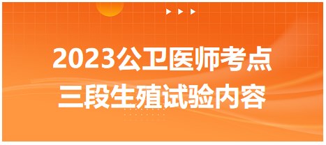 2023公衛(wèi)醫(yī)師考點-三段生殖試驗內(nèi)容