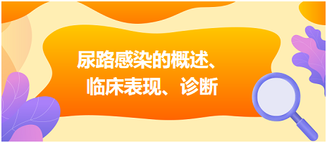 尿路感染的概述、臨床表現(xiàn)、診斷