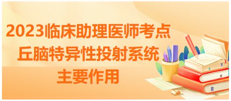 2023臨床助理醫(yī)師考點-丘腦特異性投射系統