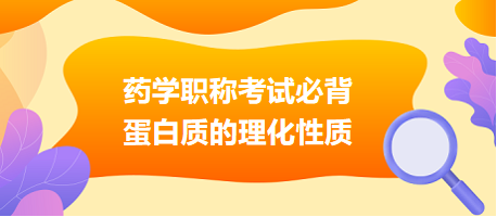 2024藥學(xué)職稱(chēng)考試必背：蛋白質(zhì)的理化性質(zhì)