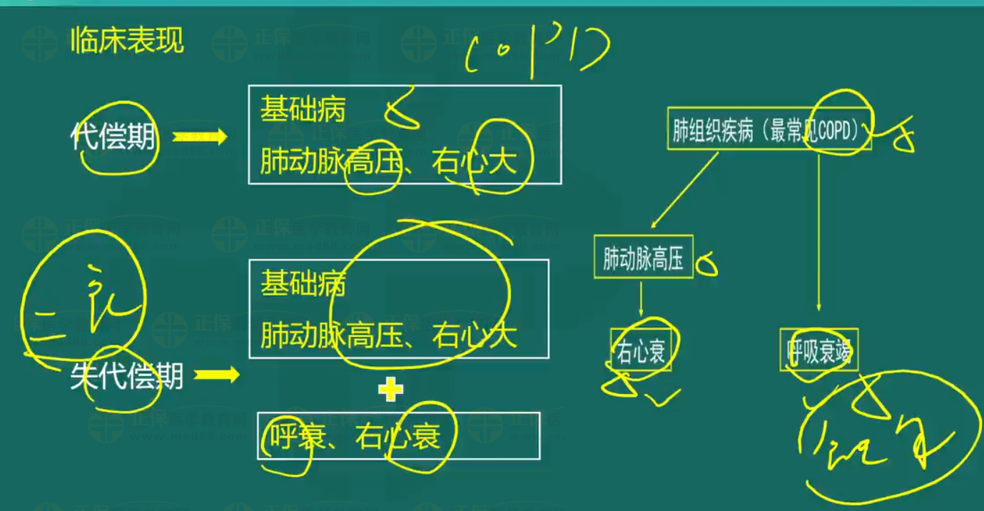 慢性肺源性心臟病-1