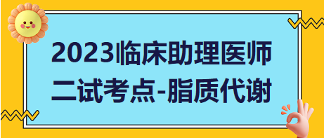 脂質(zhì)代謝